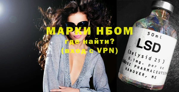 соль ск Новозыбков