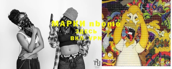 соль ск Новозыбков