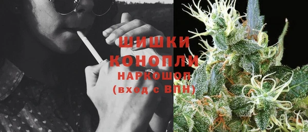 соль ск Новозыбков